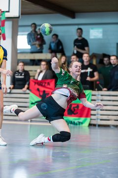 Bild 123 - F HSG Kremperheide/Muensterdorf - HSG HerKollNeu : Ergebnis: 43:29